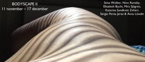 Bodyscape II